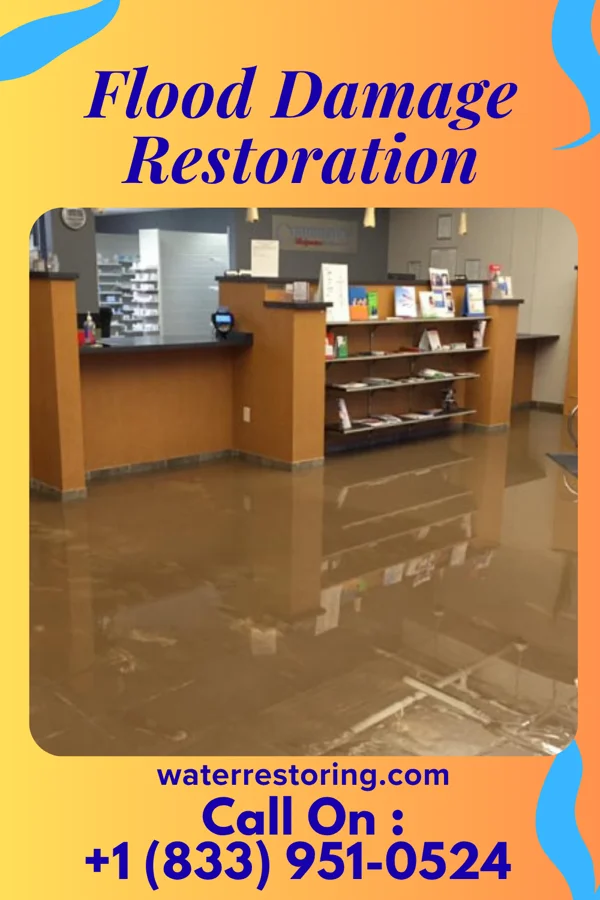 Flood Damage Restoration in St. Cloud, FL