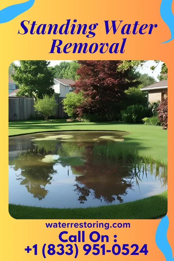 Standing Water Removal in St. Cloud, FL